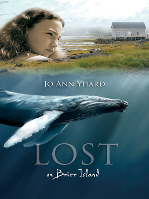 cover image of Lost on Brier Island